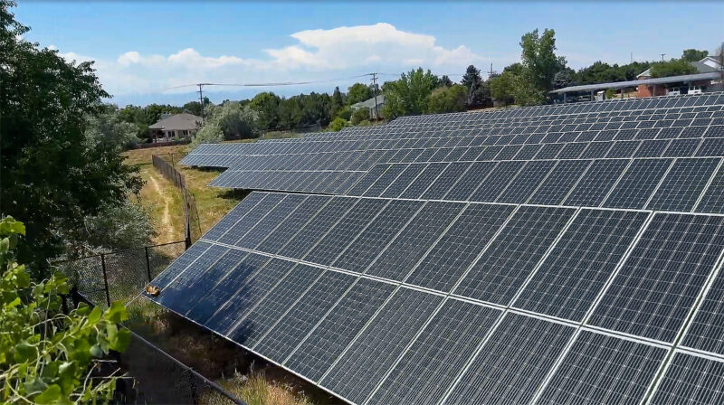 Rows of large solar panels installed on a sloped surface, surrounded by greenery and trees. The panels are angled toward the sun under a clear blue sky. In the background, a fence, trees, and rooftops of houses are visible.